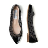 アメリーブラック